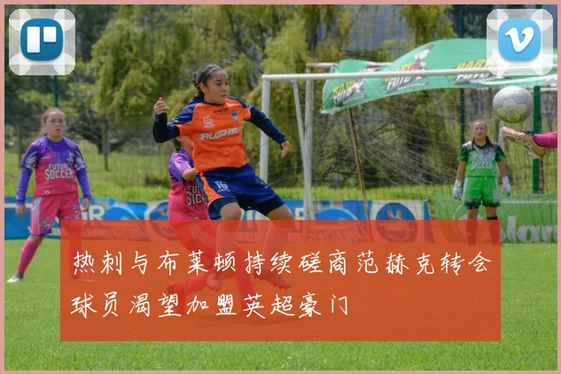 热刺与布莱顿持续磋商范赫克转会球员渴望加盟英超豪门
